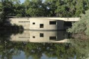 Photo: Rio Grande Nature Center