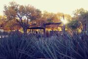 Photo: Rio Grande Nature Center