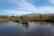 Photo: Rio Grande Nature Center