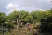 Photo: Rio Grande Nature Center