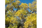 Photo: Rio Grande Nature Center